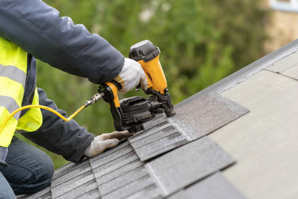 Best Roof Moss and Algae Removal  in Ironton, MO